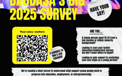Babbasa’s Big Survey 2025